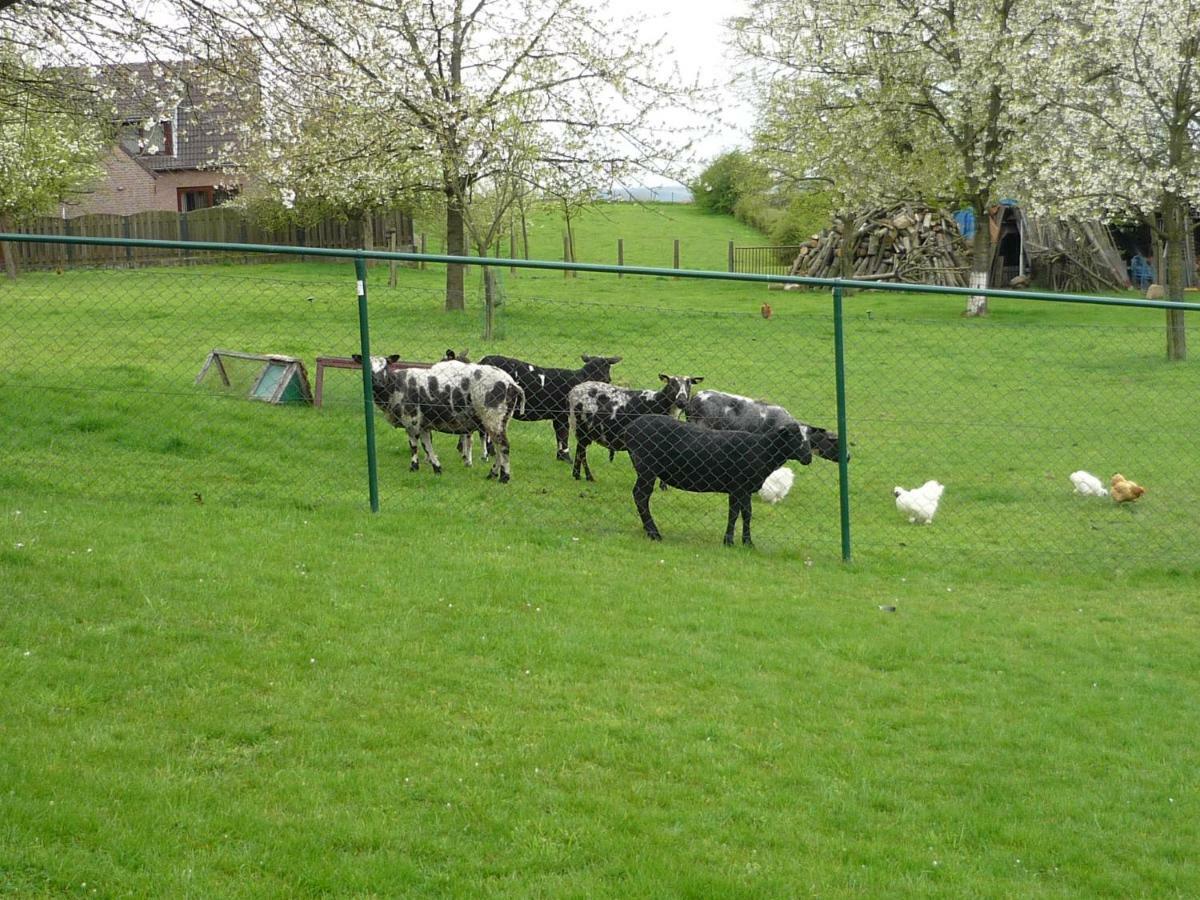 Banholt Hoeve Mingels מראה חיצוני תמונה
