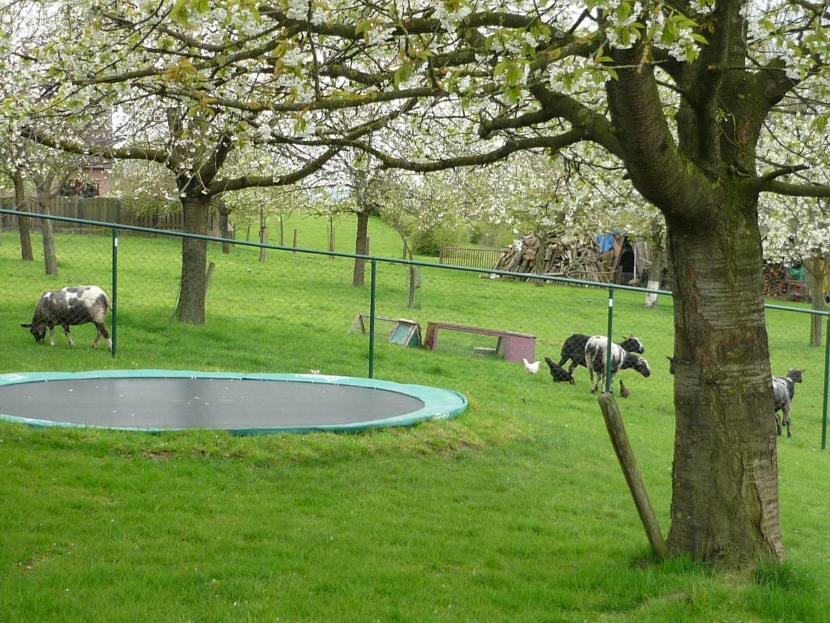 Banholt Hoeve Mingels מראה חיצוני תמונה