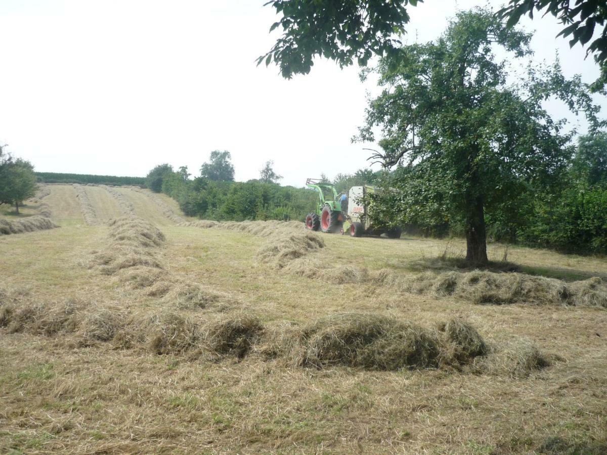 Banholt Hoeve Mingels מראה חיצוני תמונה